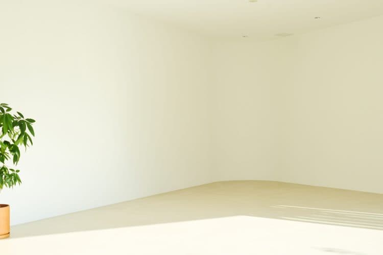 光が回り込むアールの壁