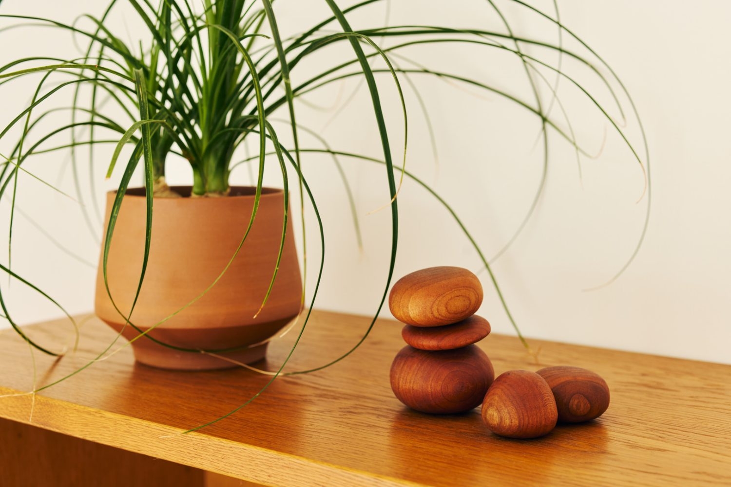 プロップ(常設)