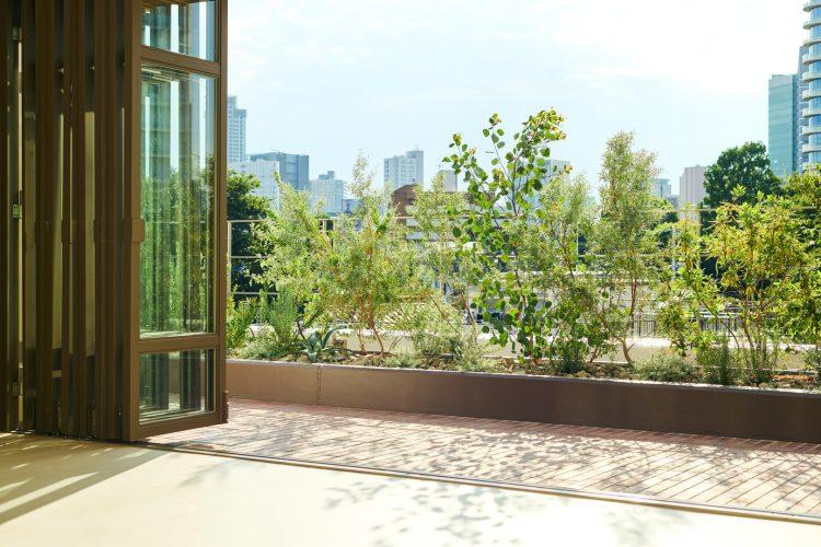 空にひらけた開放的な背景