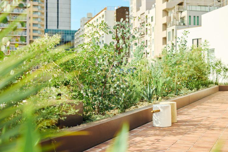 緑豊かなテラス