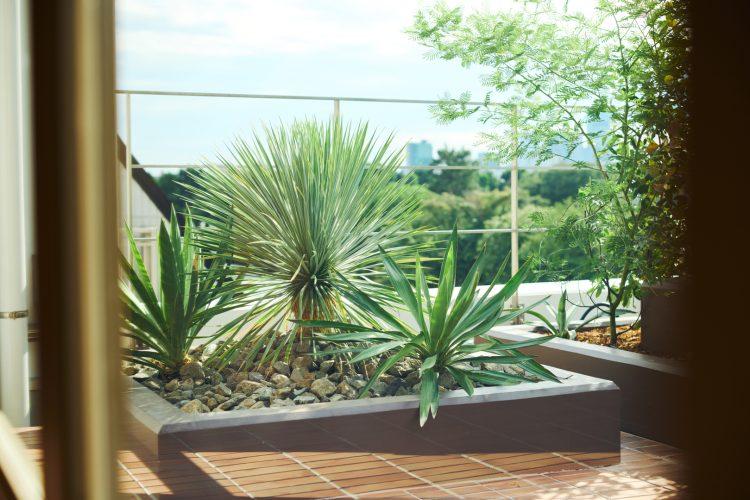 街の緑と繋がる