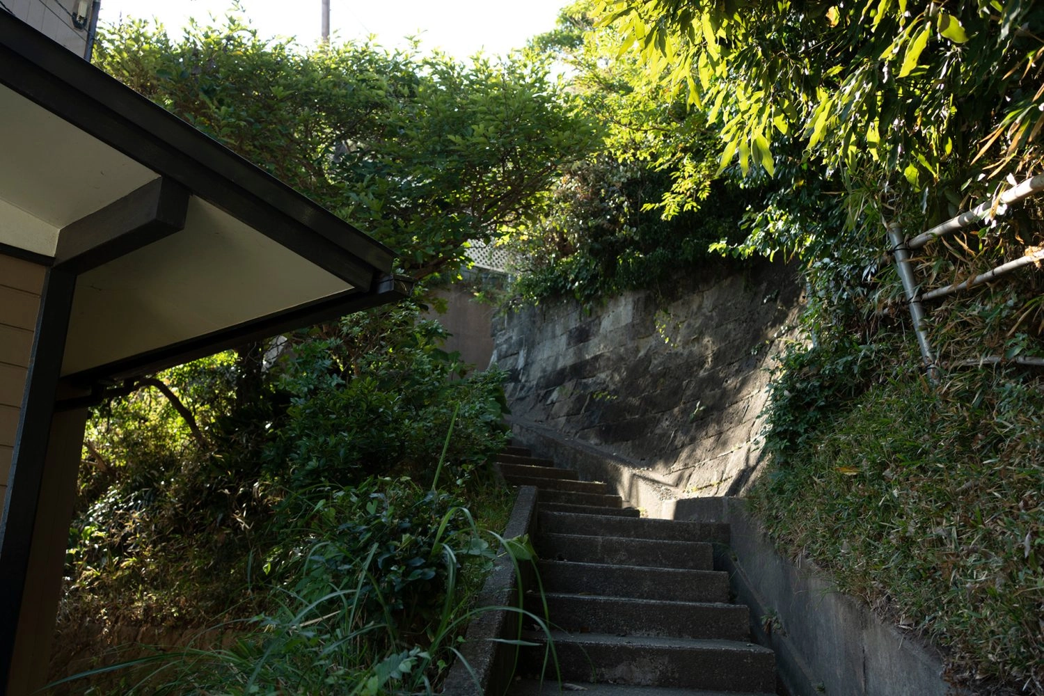 ノスタルジックな100段の階段