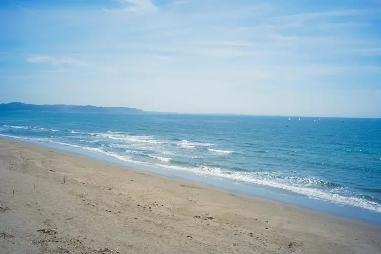 近隣(134号線沿い)の海