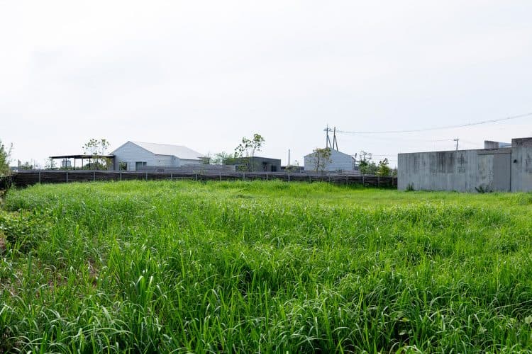 荒地裏庭(約1000㎡)