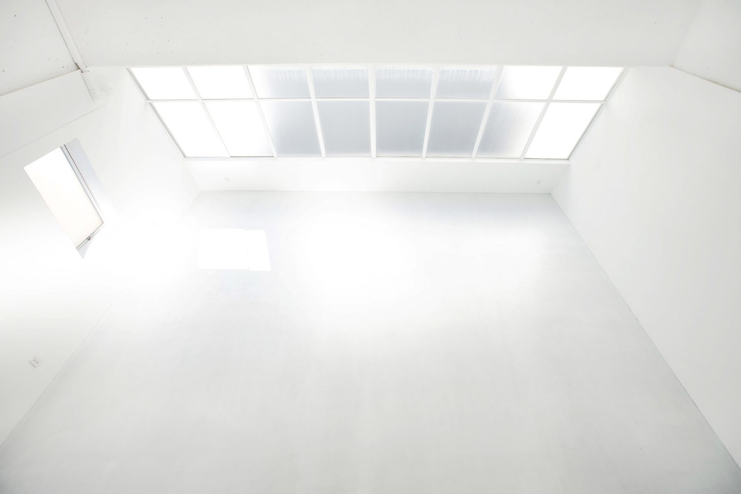 大きな窓から一日中自然光が差し込む