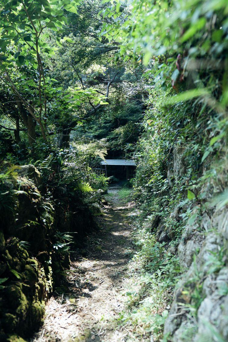 私有地エリア(撮影可能)