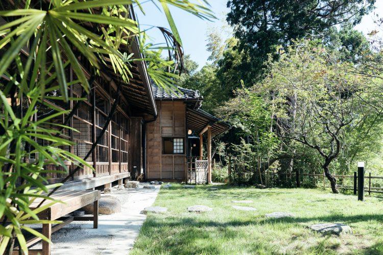 芝生 9月中旬撮影