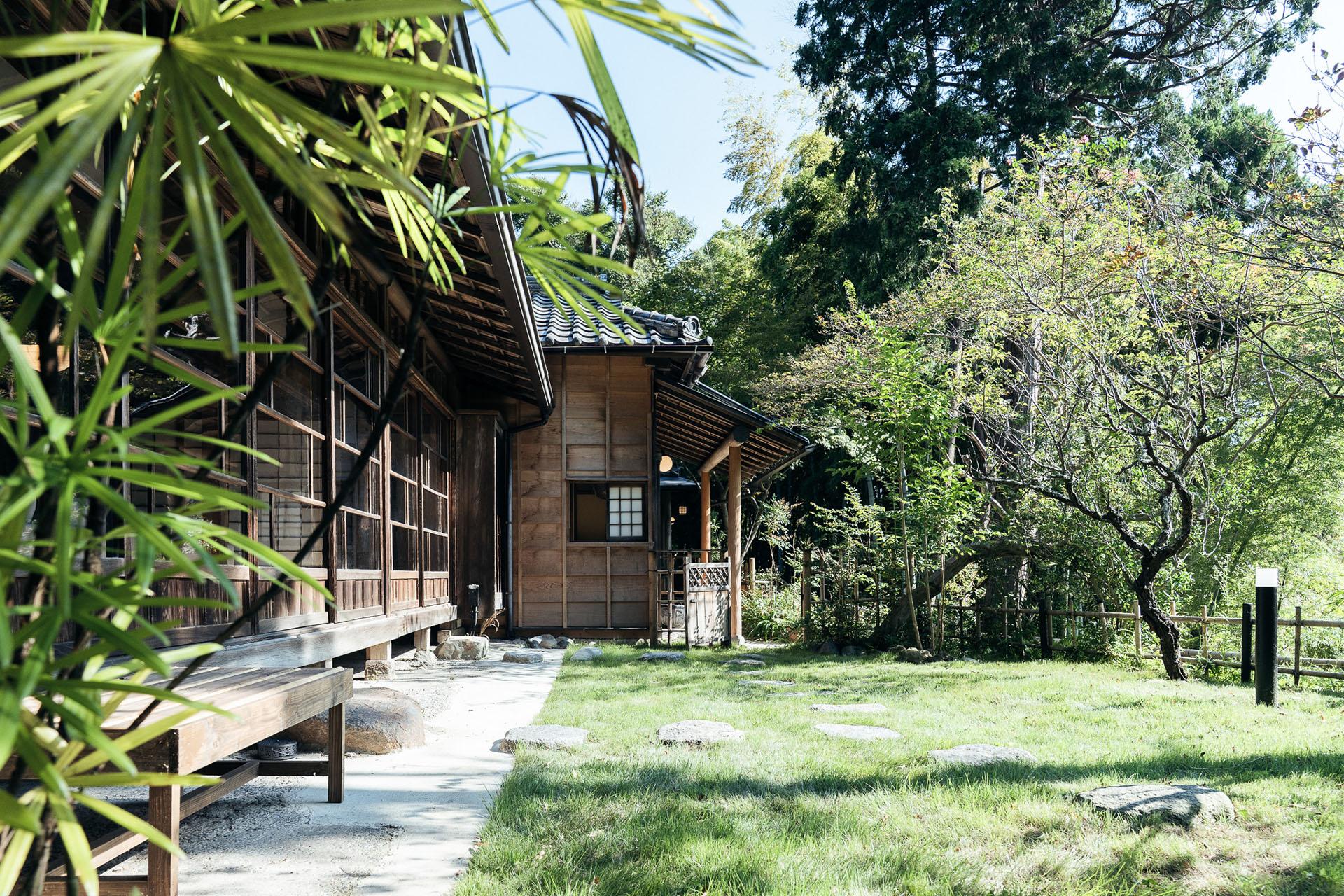 芝生 9月中旬撮影