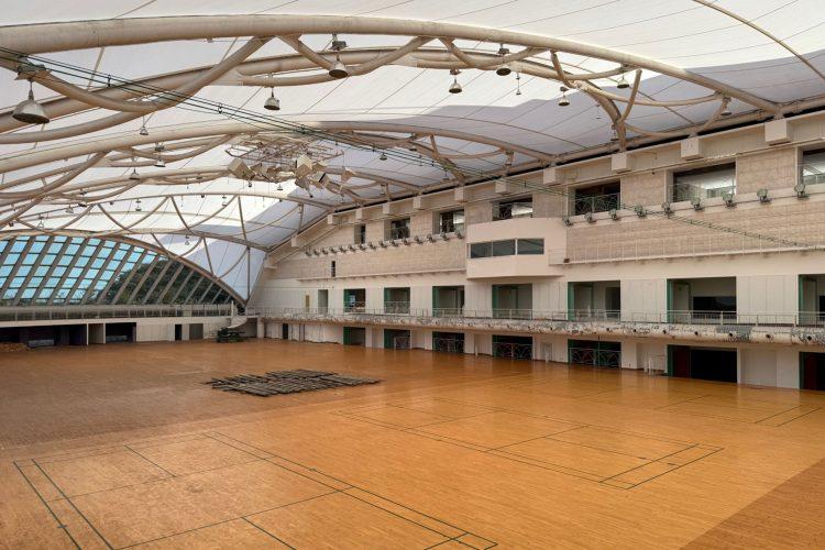 ダビデ アリーナコート