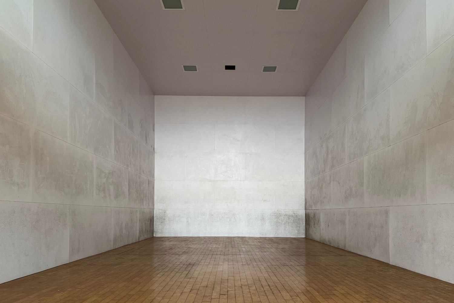 ダビデ ラケットボールコート