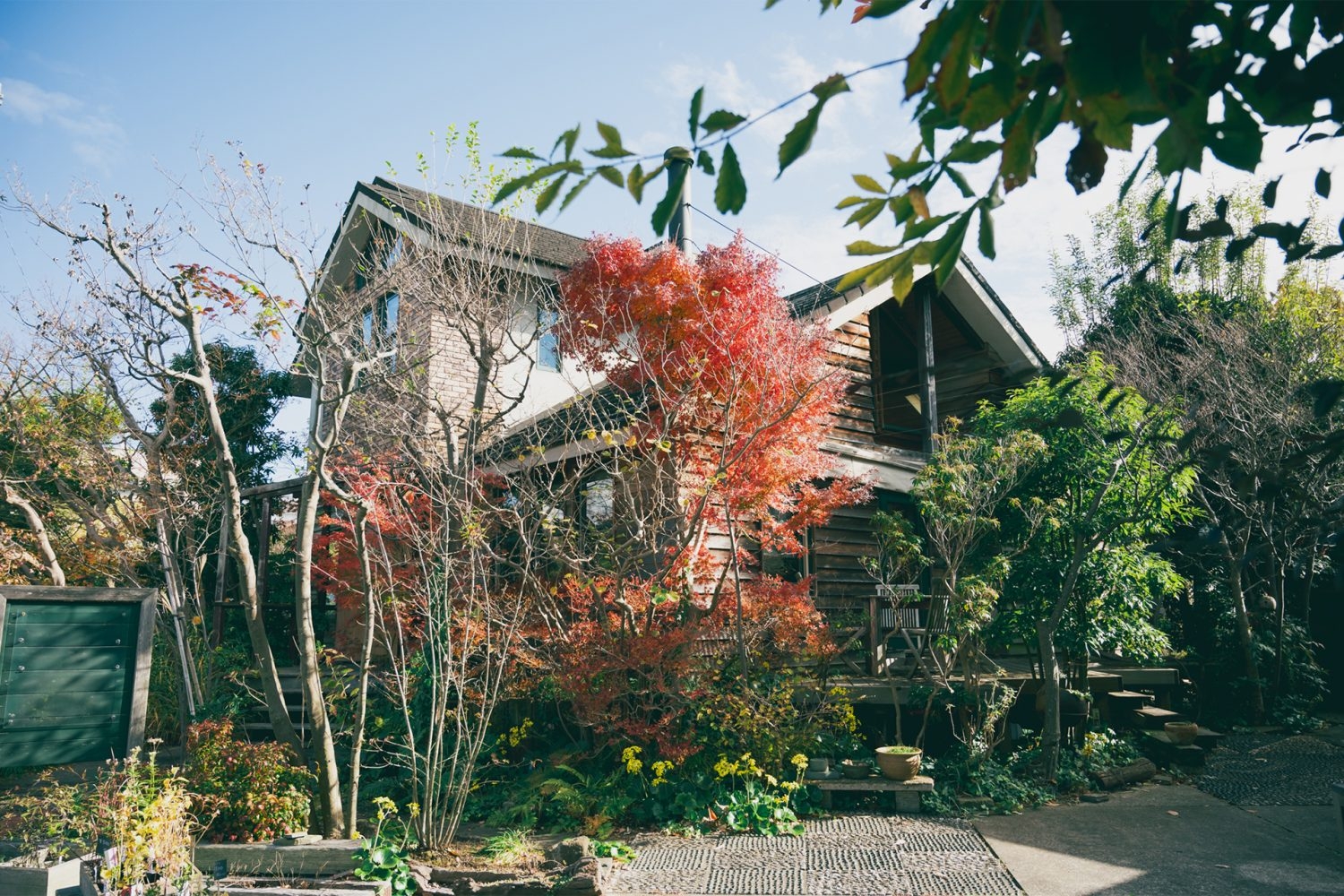 植栽が季節感を演出 / ウッドデッキでも撮影可能