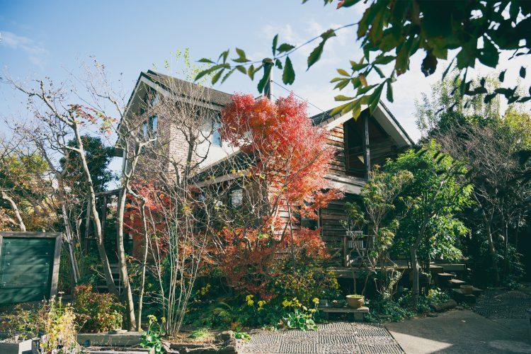 植栽が季節感を演出 / ウッドデッキでも撮影可能