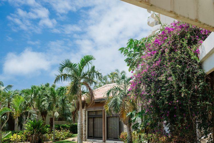 「コーラルウイング」横の中庭 ヤシの木など緑豊かな庭