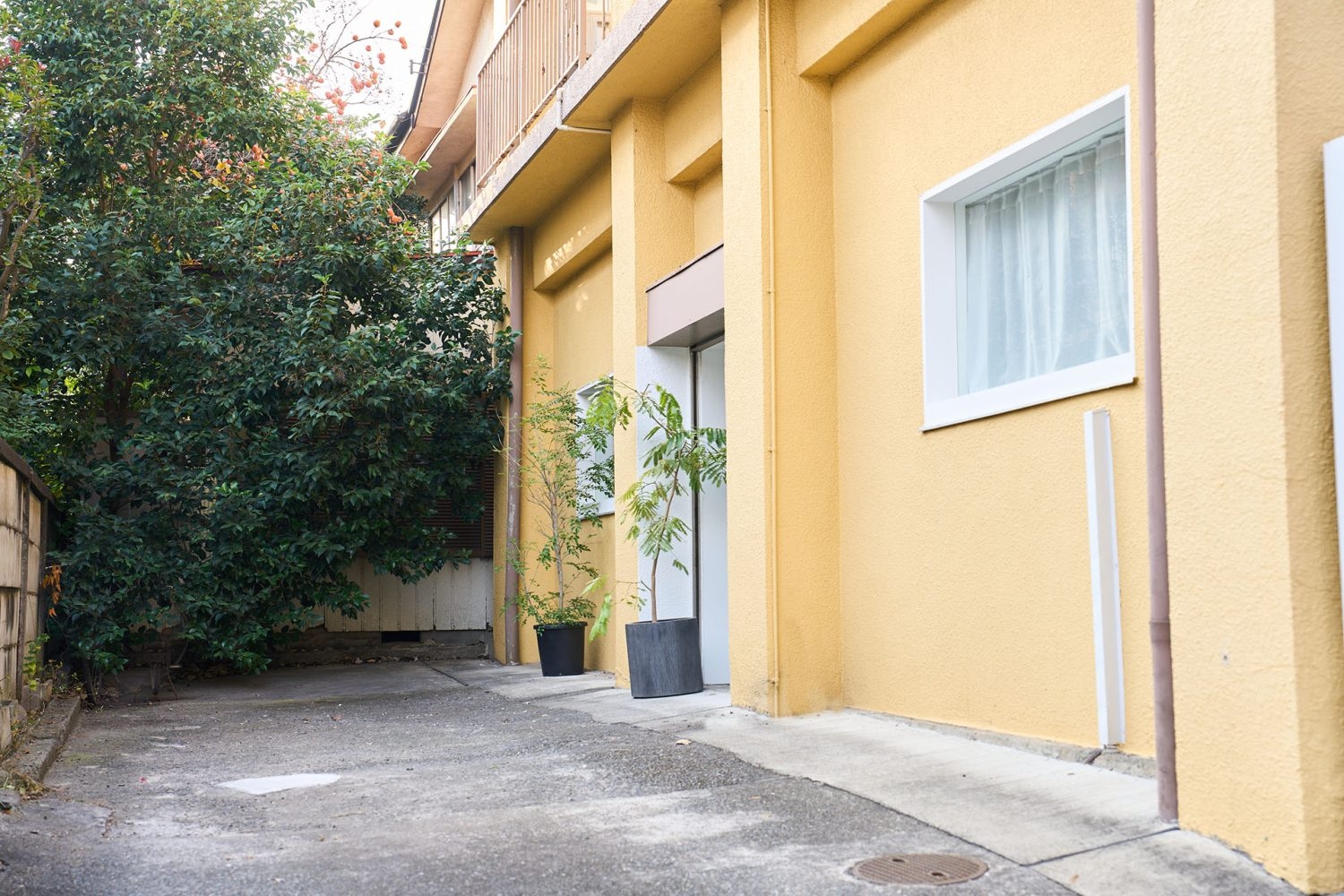 南側の庭スペース(第二駐車場※条件付)