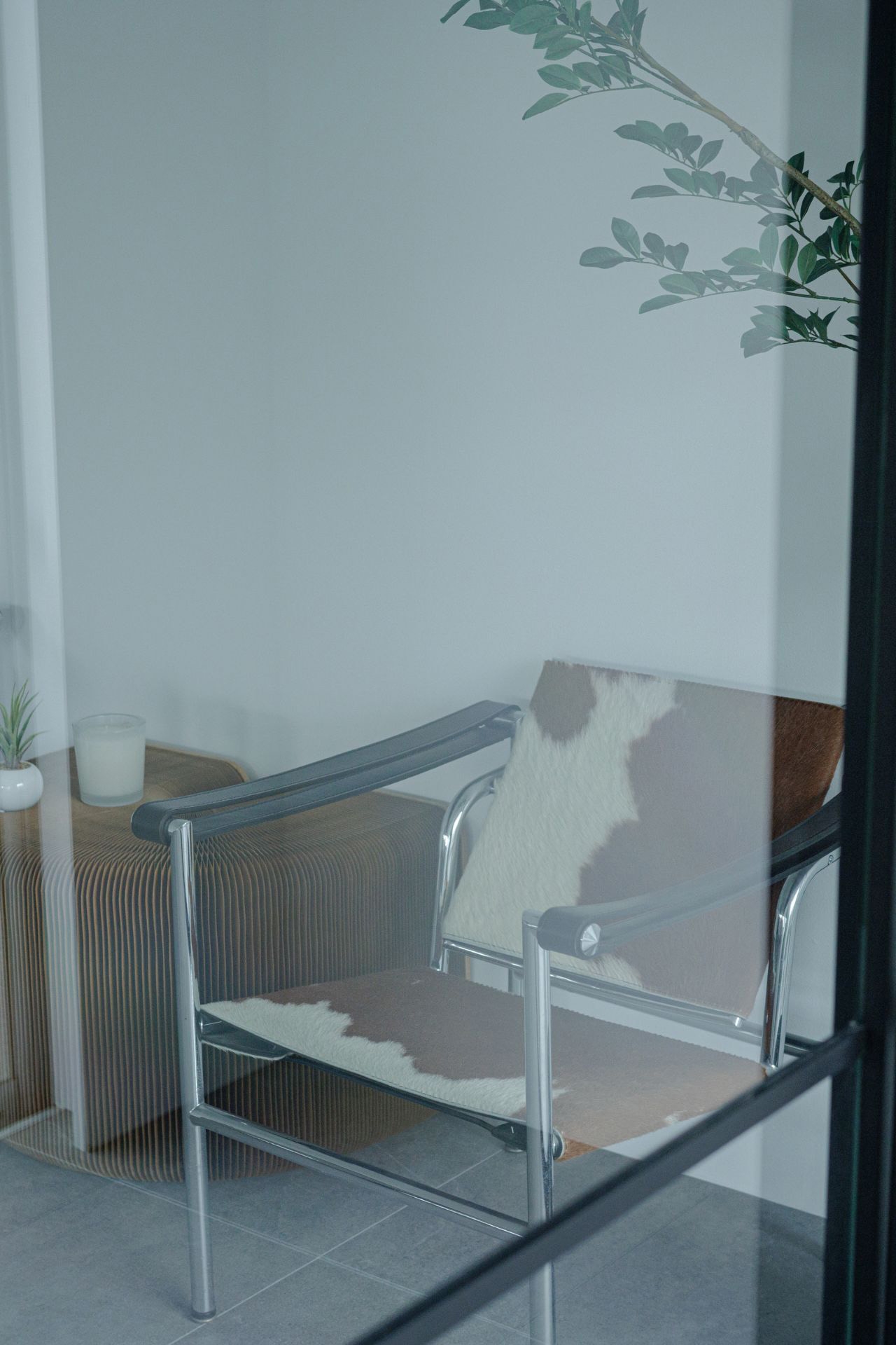 スライドスクリーンを利用してガラス越しに撮影可能