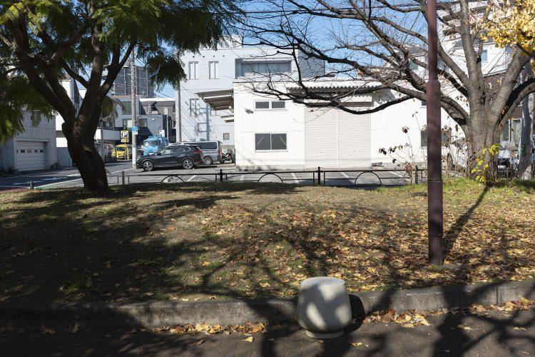 スタジオ向かいの公園からのアングル