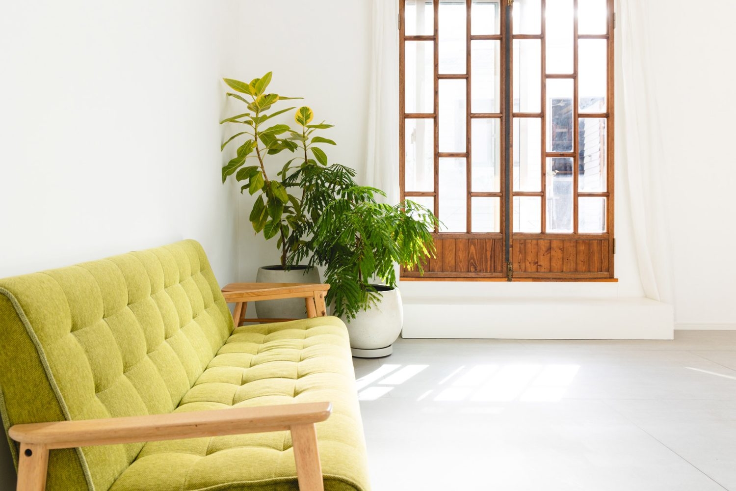 季節を問わずグリーンがたくさん