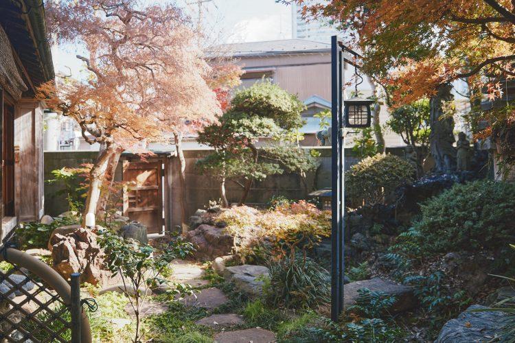 紅葉と庭石が配置された光と風が心地良い庭