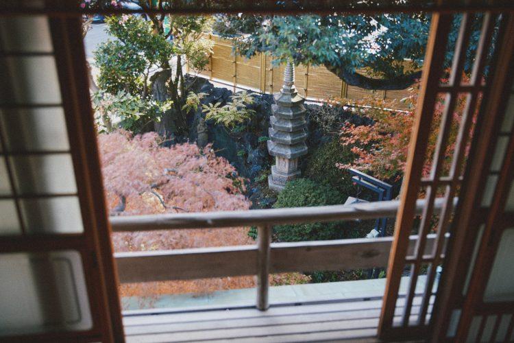 2階の窓から庭を俯瞰撮影