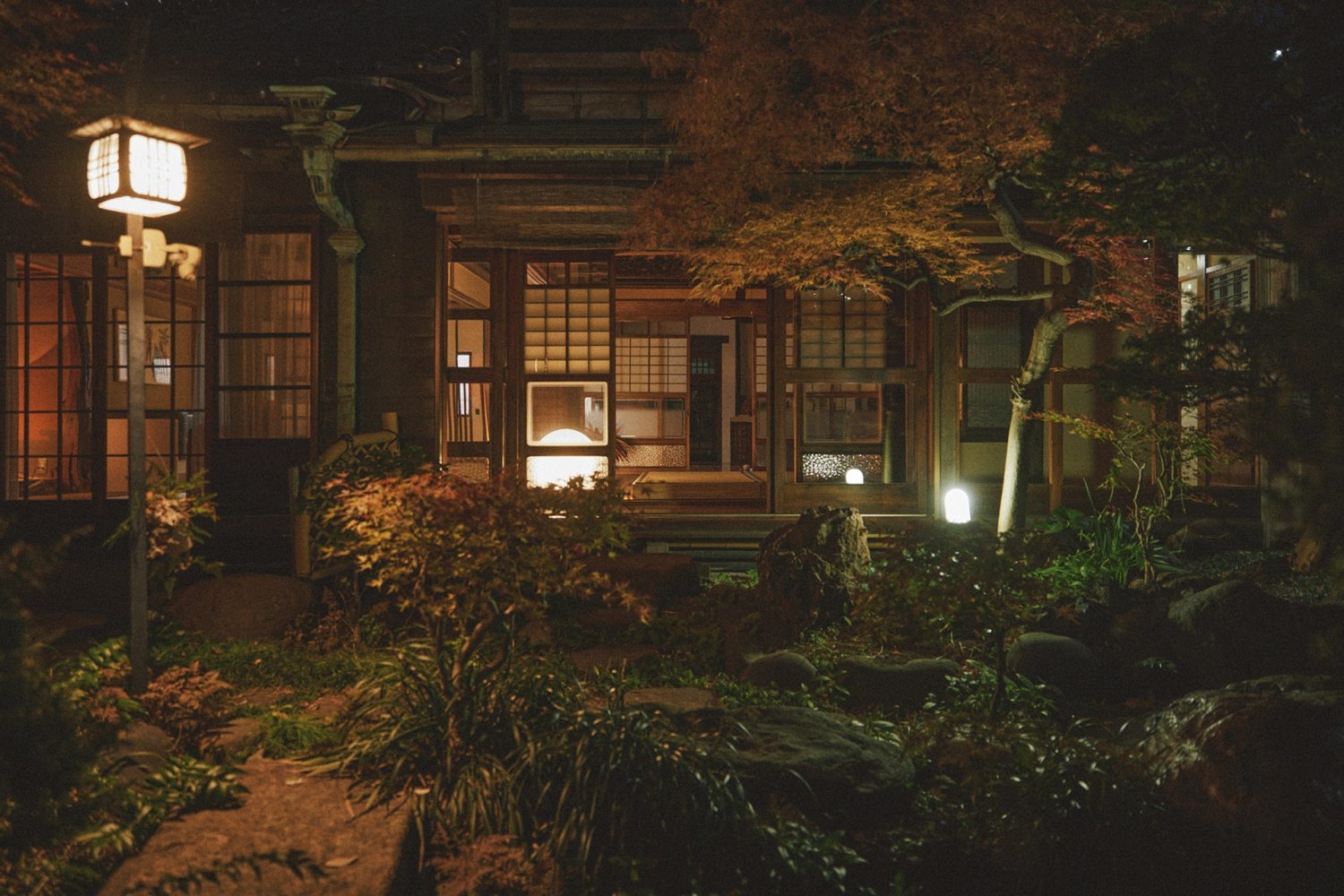 夜の庭は光と色のグラデーション