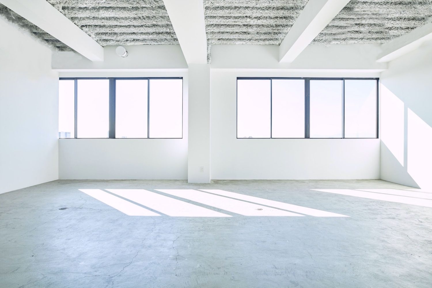 南向きで一日中期待できる直射光