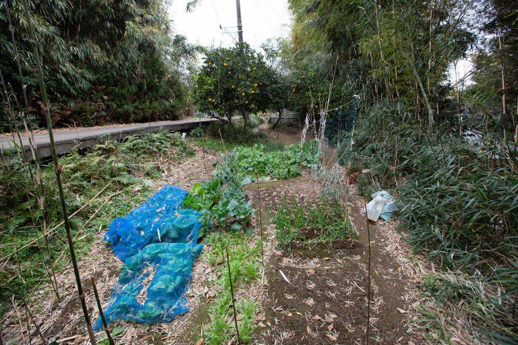 畑スペースも撮影可能(予約時:事前要相談)