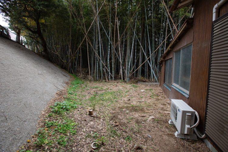 倉庫 裏手の空地は竹林背景に