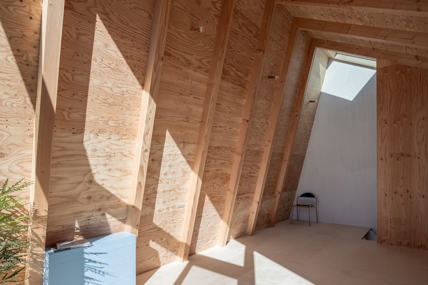 素材感の異なる木材に包まれたあたたかな空間