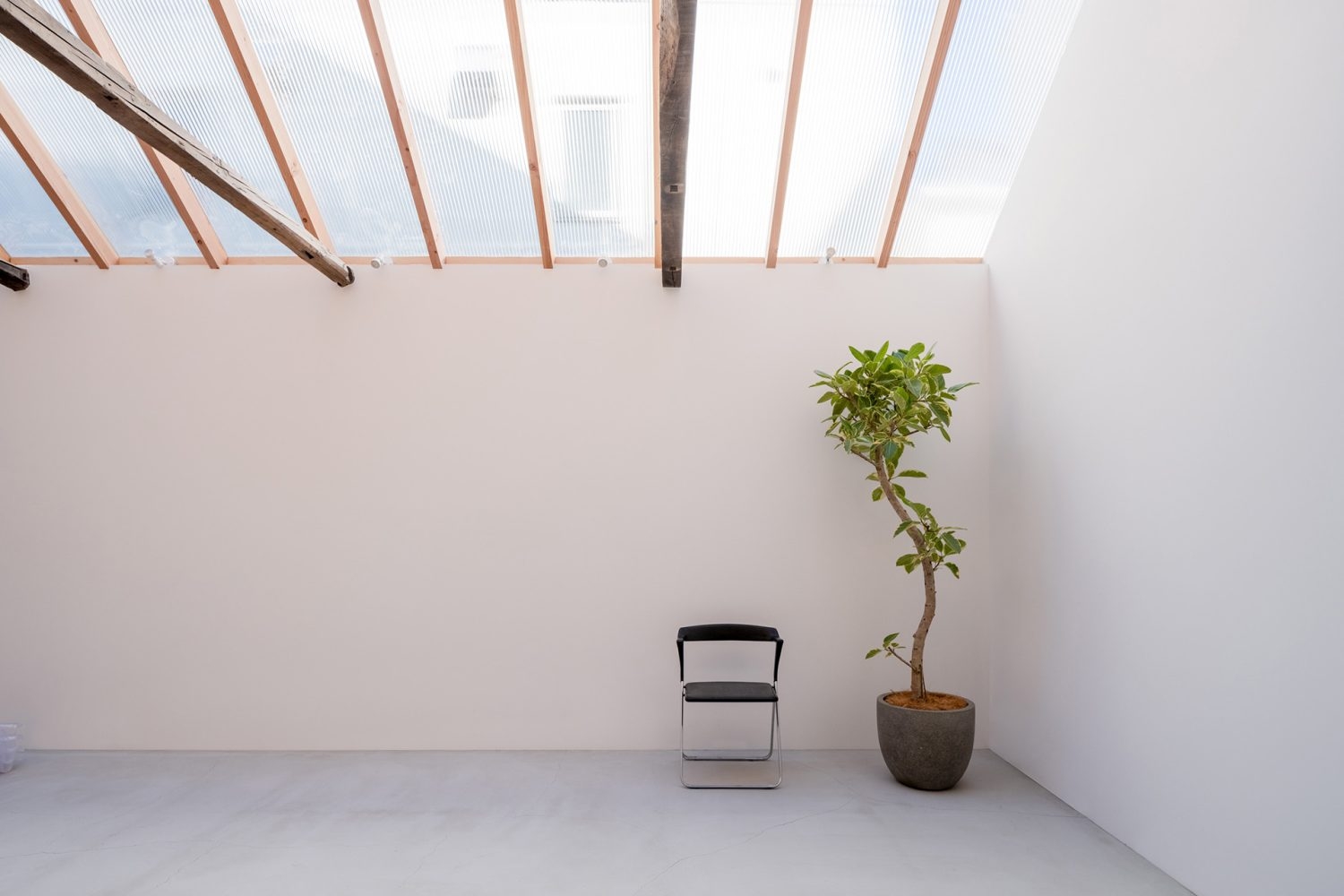 1F 天窓からやわらかな光がまわる、明るいスタジオ