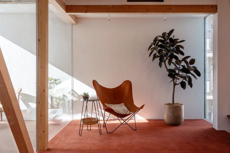 バルコニーを通して漆喰壁にも差し込む自然光