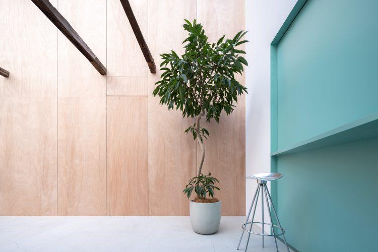 ウッド壁とモルタル床のナチュラルな空間