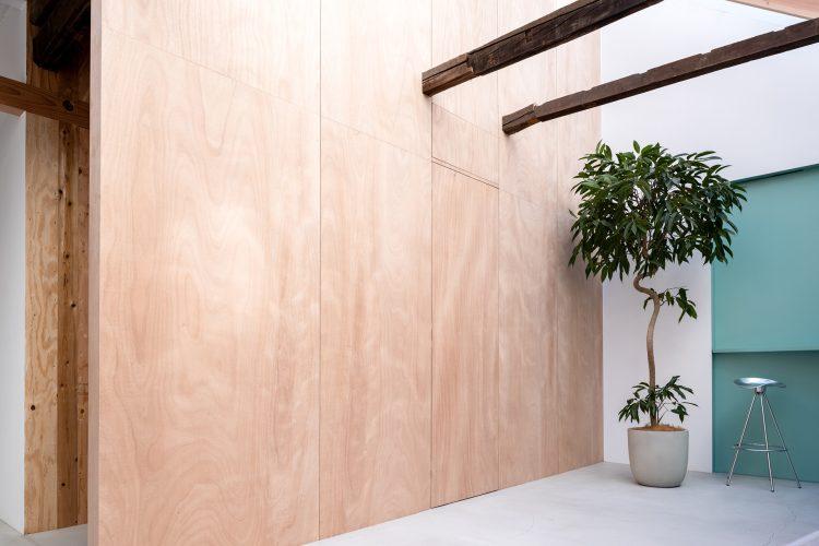 最大4.8mの高さにある天窓から届く、美しい光