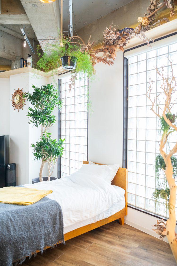 天井レールから植物なども吊るせます