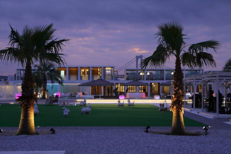 入口 ヤシの木がリゾート感