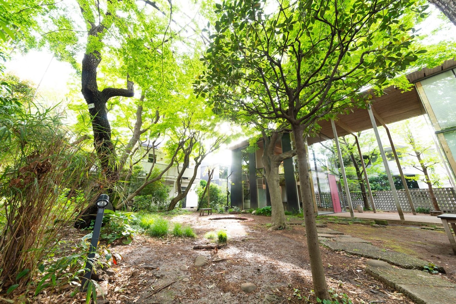 都心で避暑地の別荘のような風景(7月撮影)