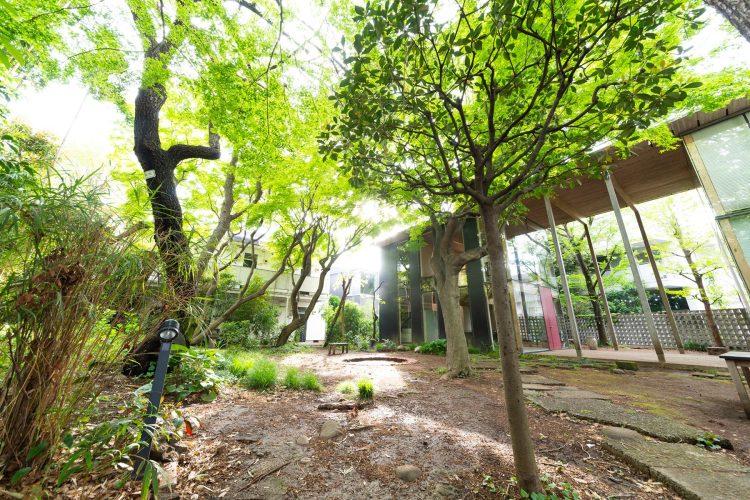 都心で避暑地の別荘のような風景(7月撮影)