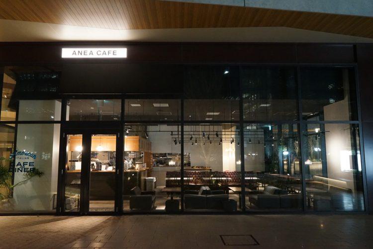 ムーディーな夜の店内をガラス窓の外から撮影も