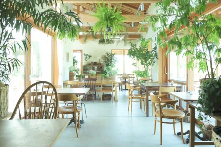 木のぬくもりを感じる店内