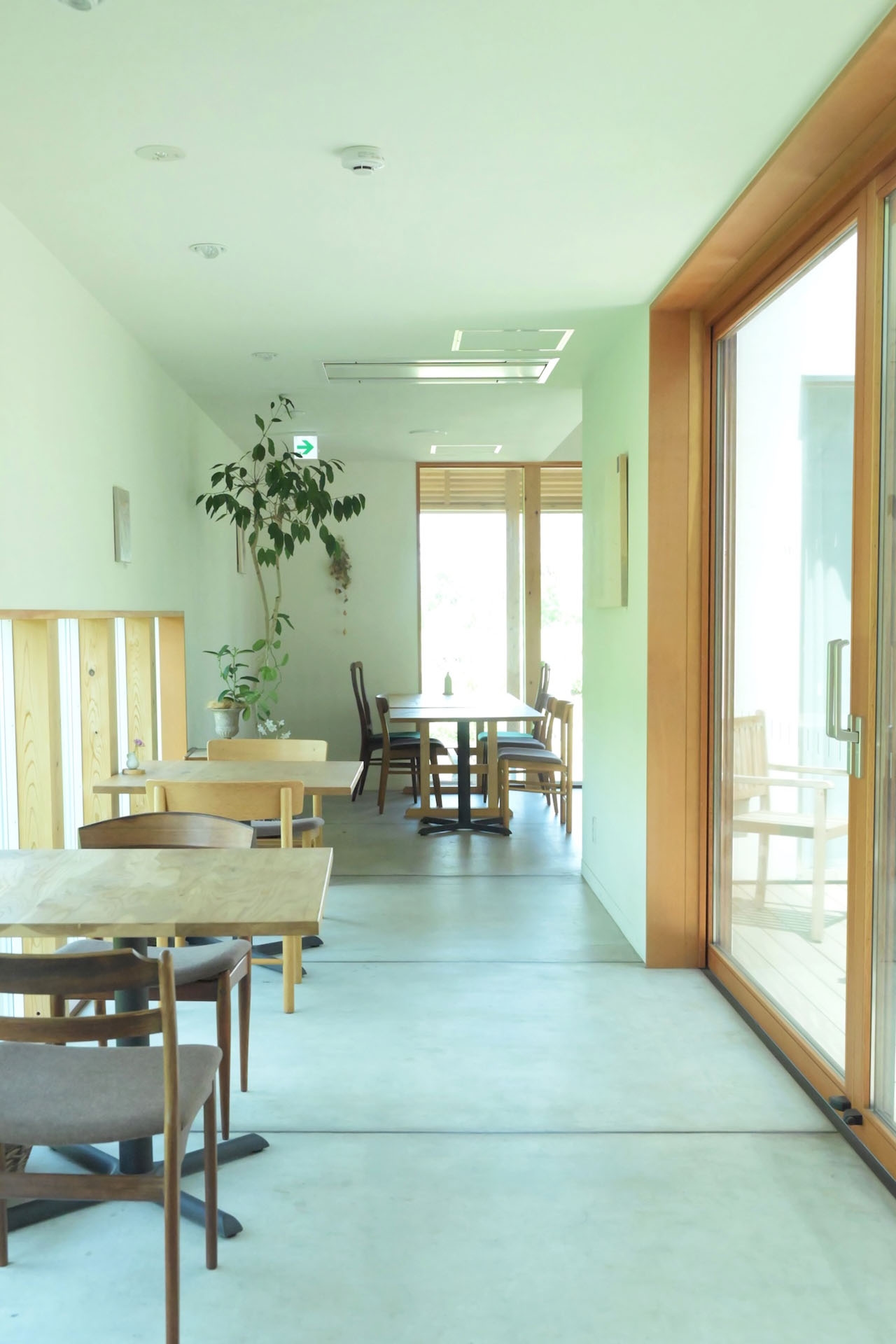中庭に面する店内は自然光に包まれて
