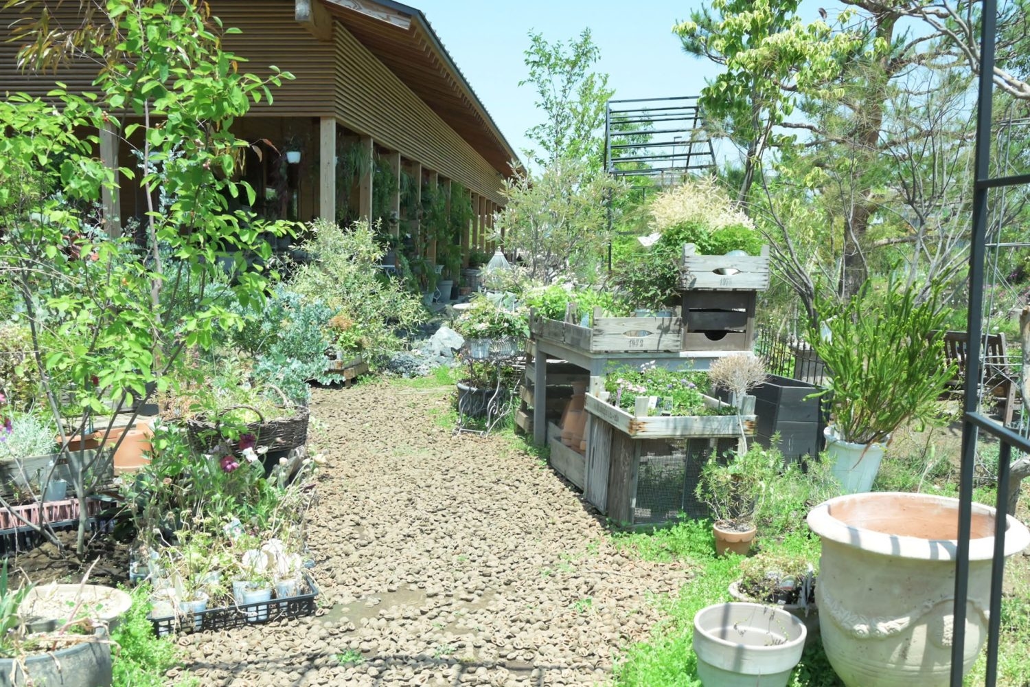 (オプション)植物の販売もしているタネニワガーデン