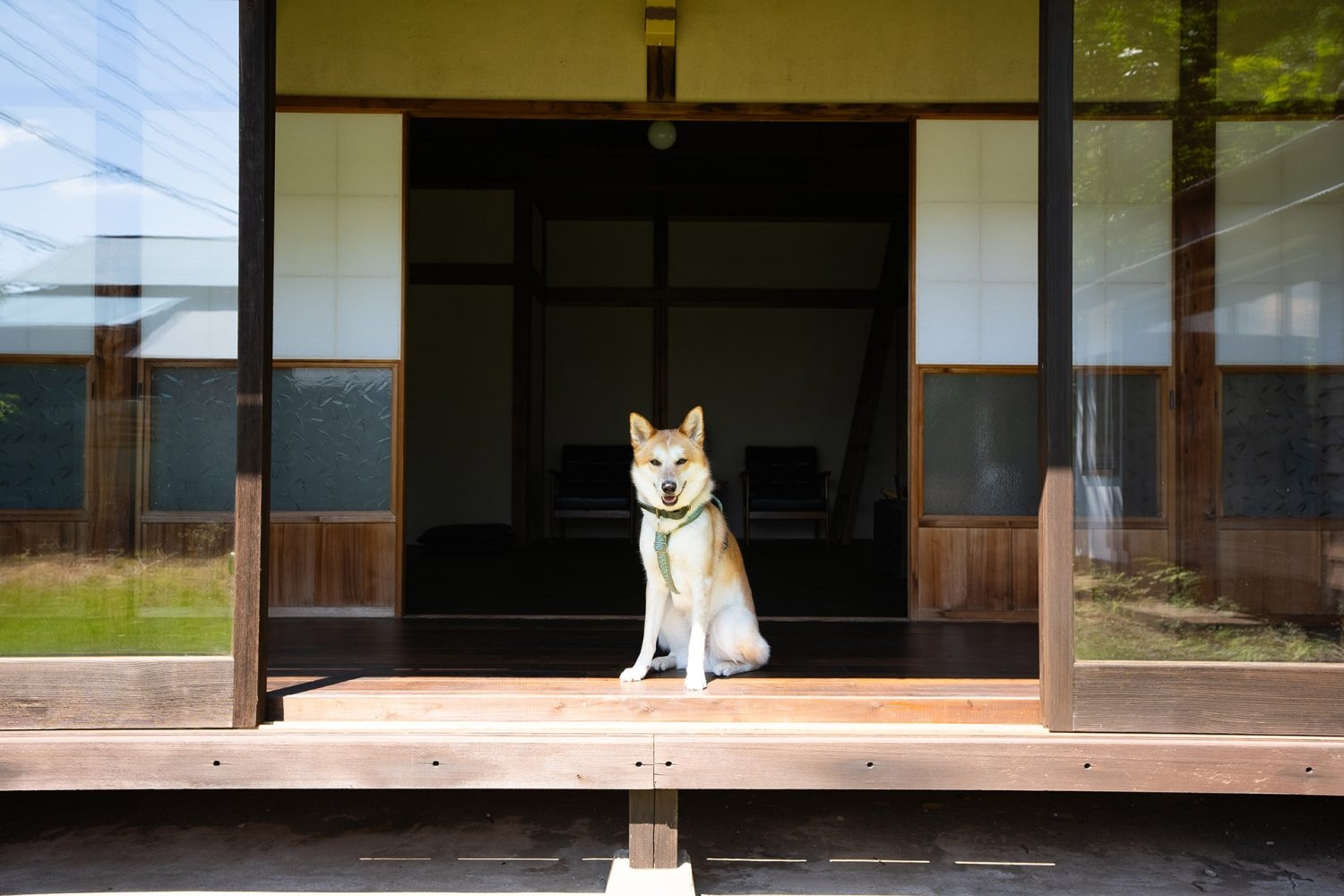 犬・猫など動物もOK(事前申請)