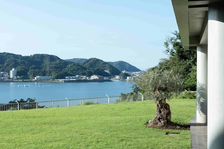 庭(南側)と相模湾