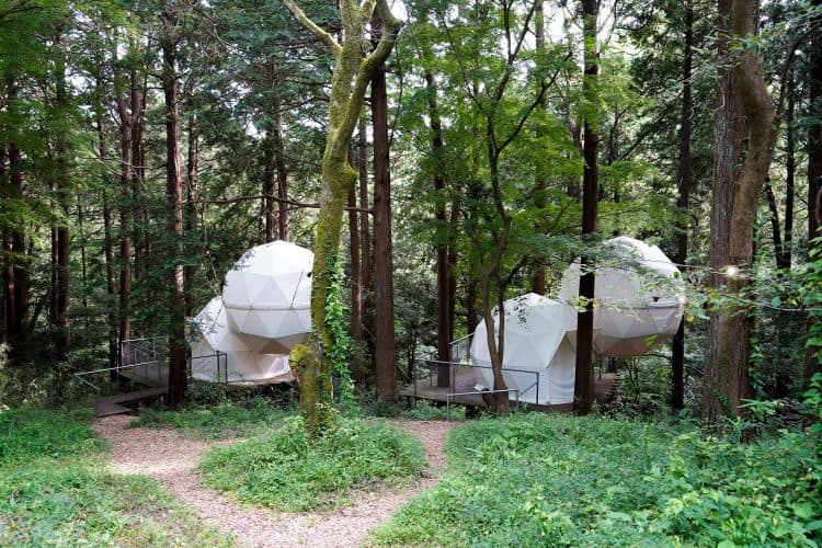 オプション:森に点在する球体テントでアウトドア撮影