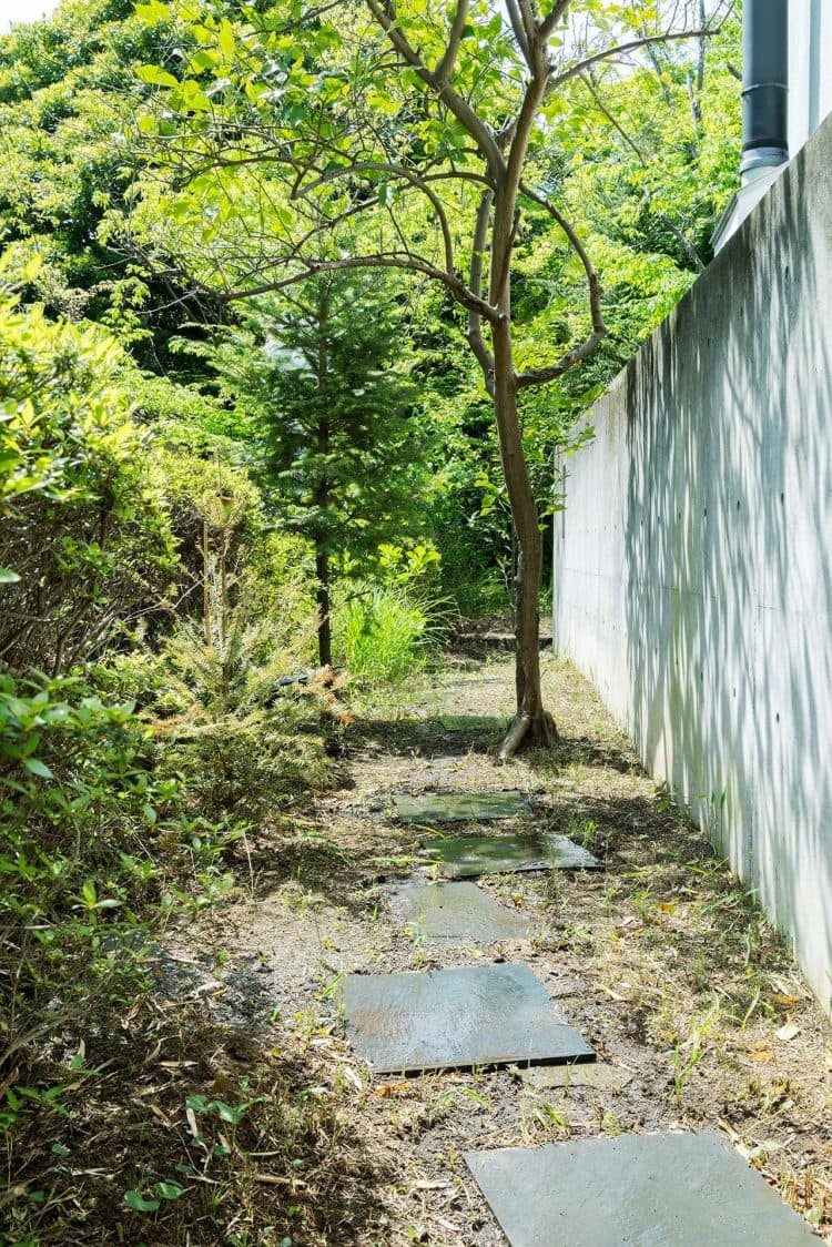 建物の脇にはレモンの木がある通路