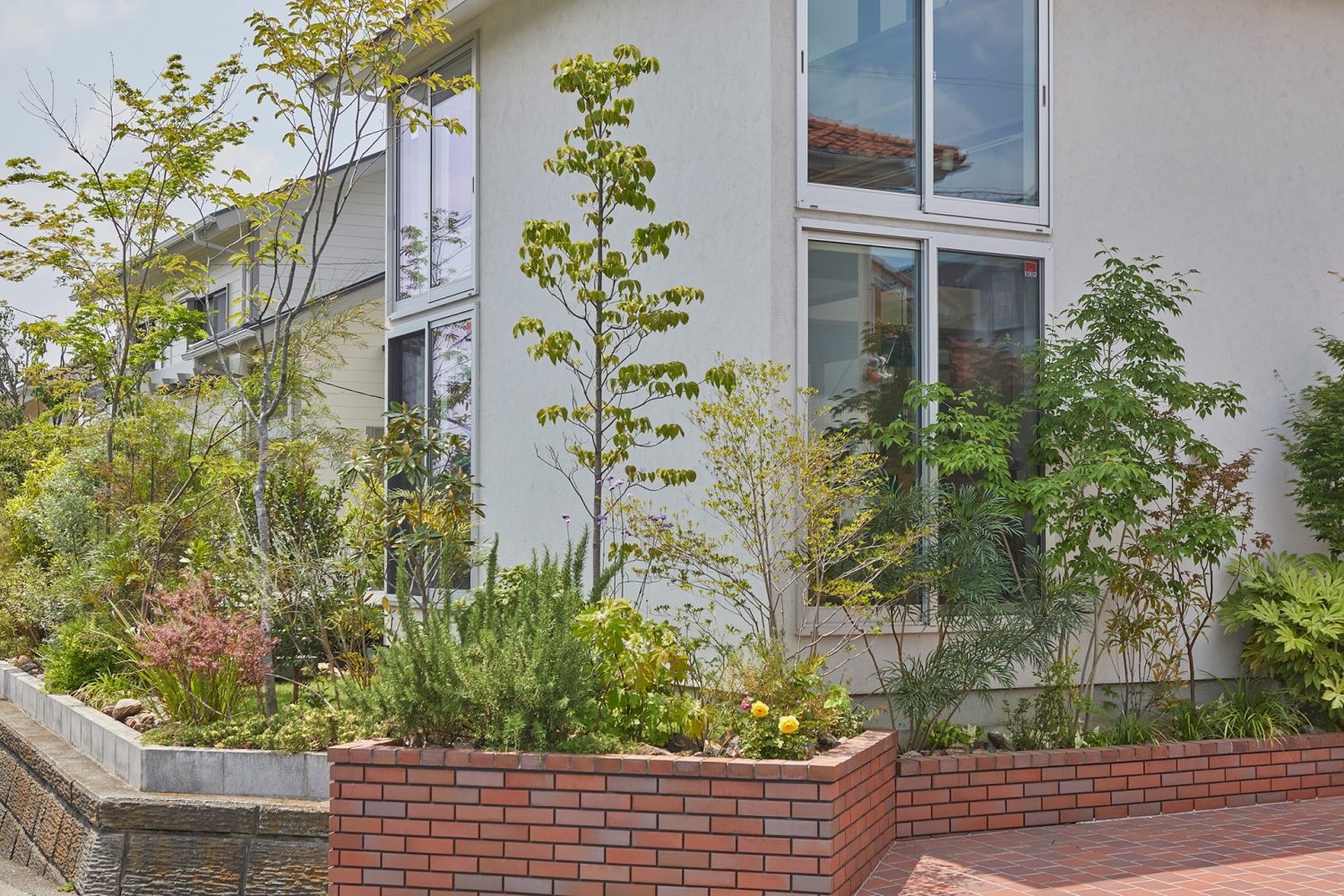 植栽と白壁の外観を活かした開放的な庭で撮影も