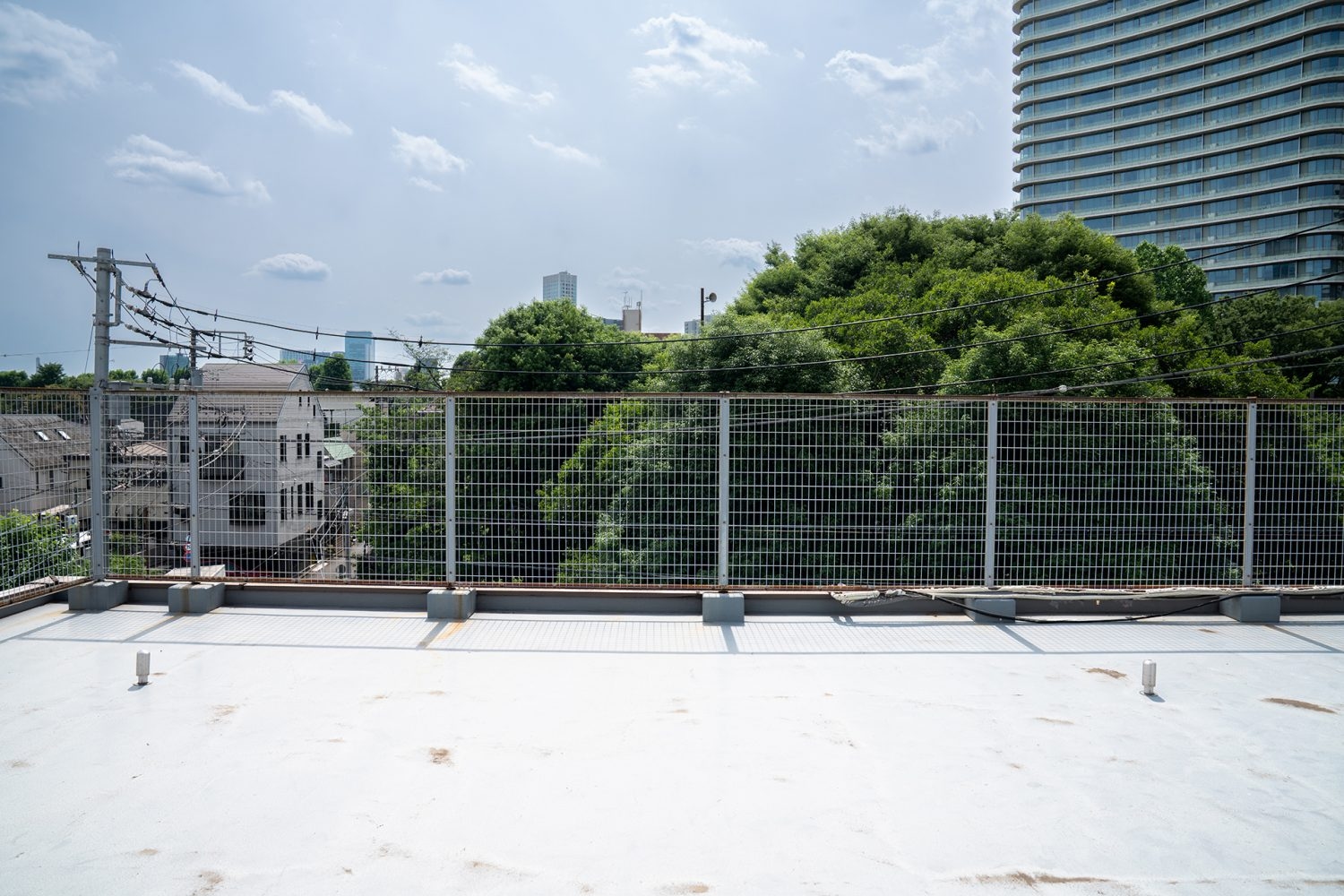 公園の緑と高層ビル