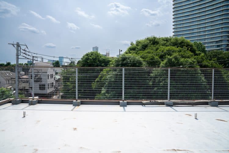 公園の緑と高層ビル