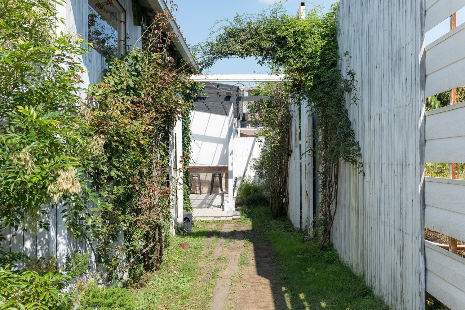 植物のアーチ