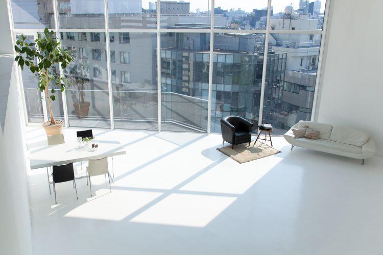 全面南窓 / 夕方まで光が降り注ぐ