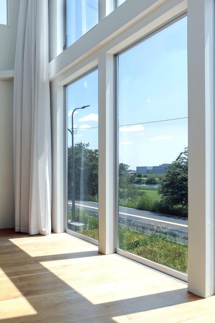 多摩川土手の緑